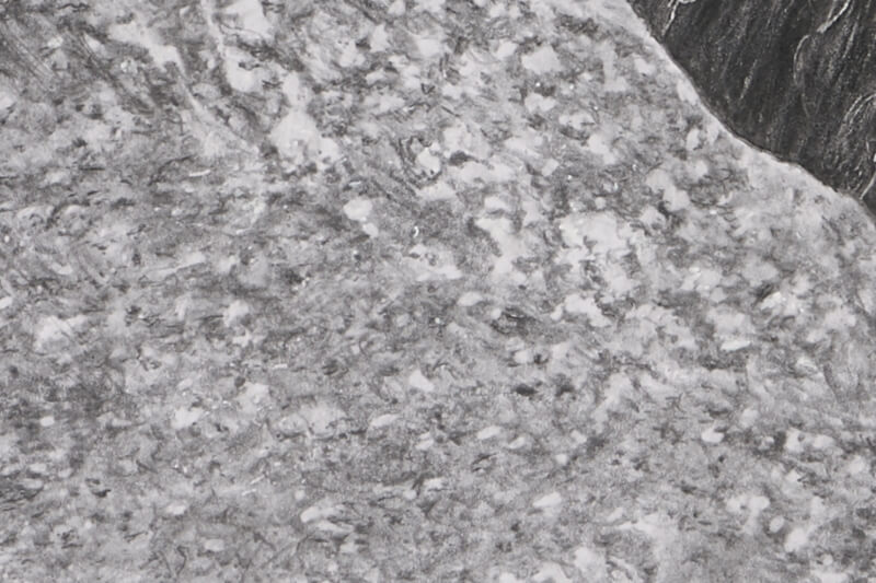 Graphite drawing of lion close-up rock