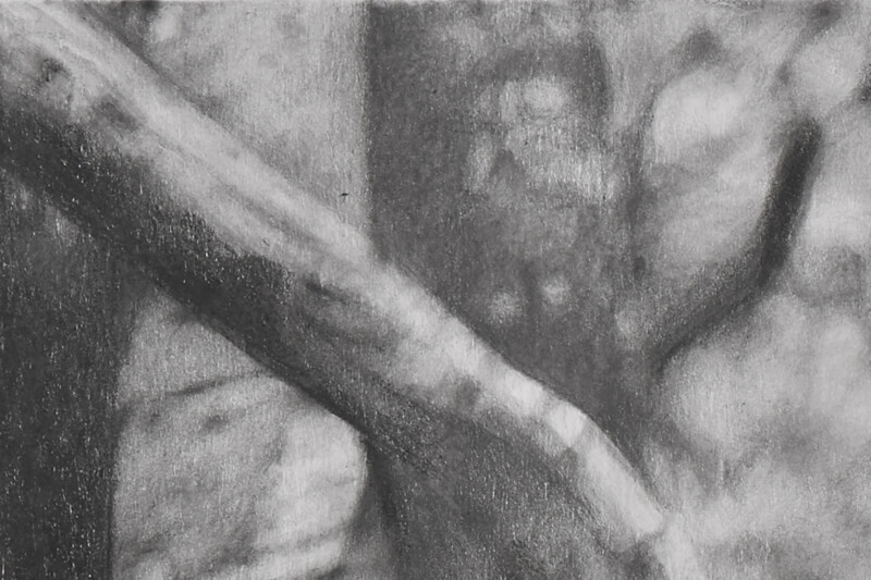 Mother and infant gorillas graphite drawing close-up tree