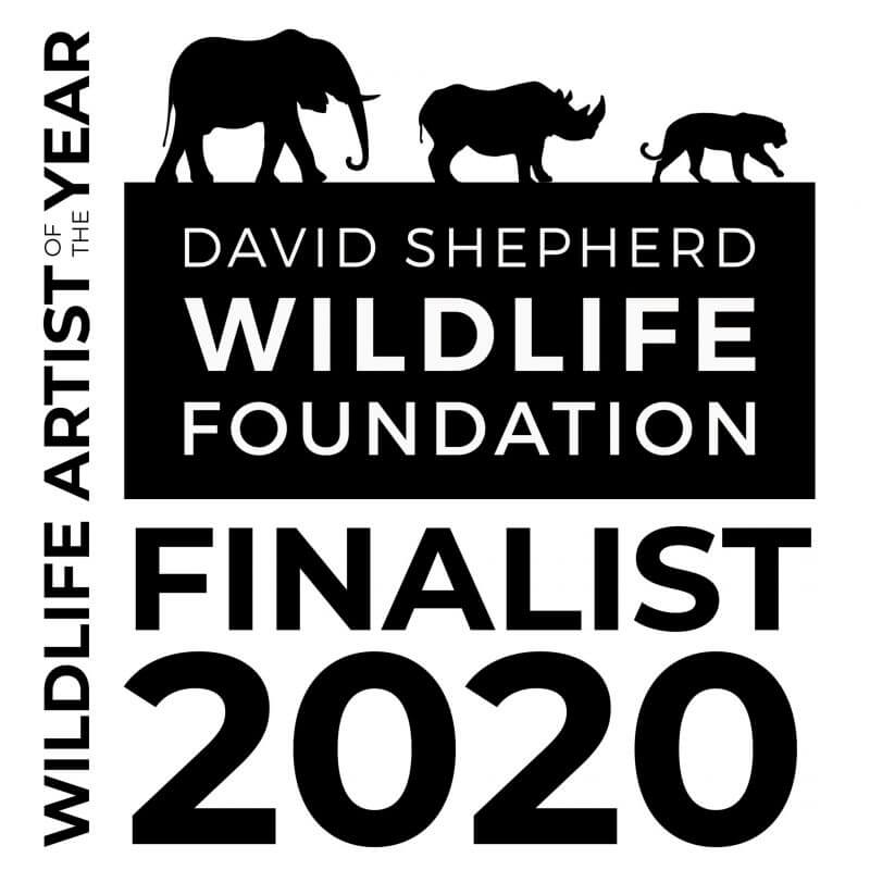 DSWF David Shepherd Wildlife Foundation Wildlife Artist of the Year Finalist 2020