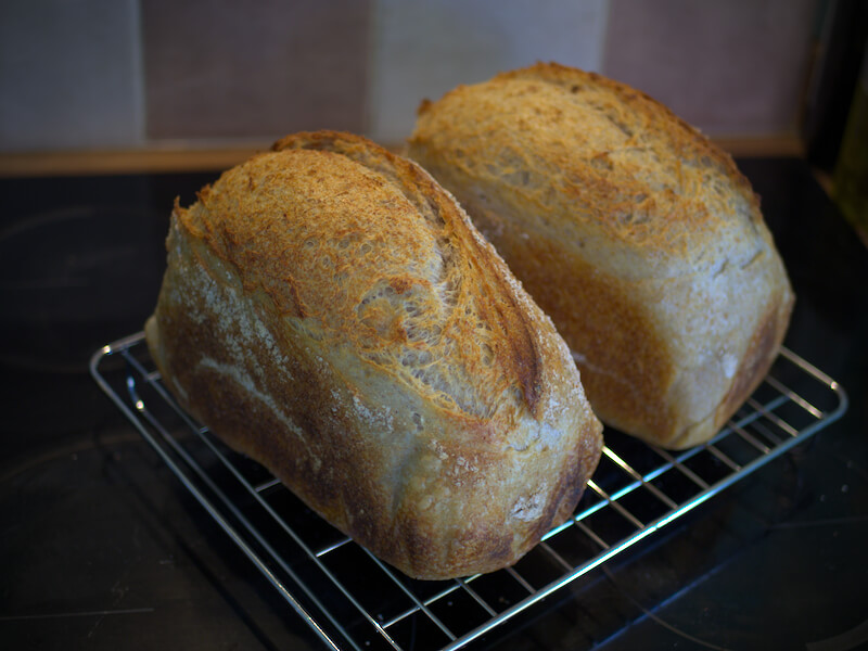 Sourdough sandwich loaves