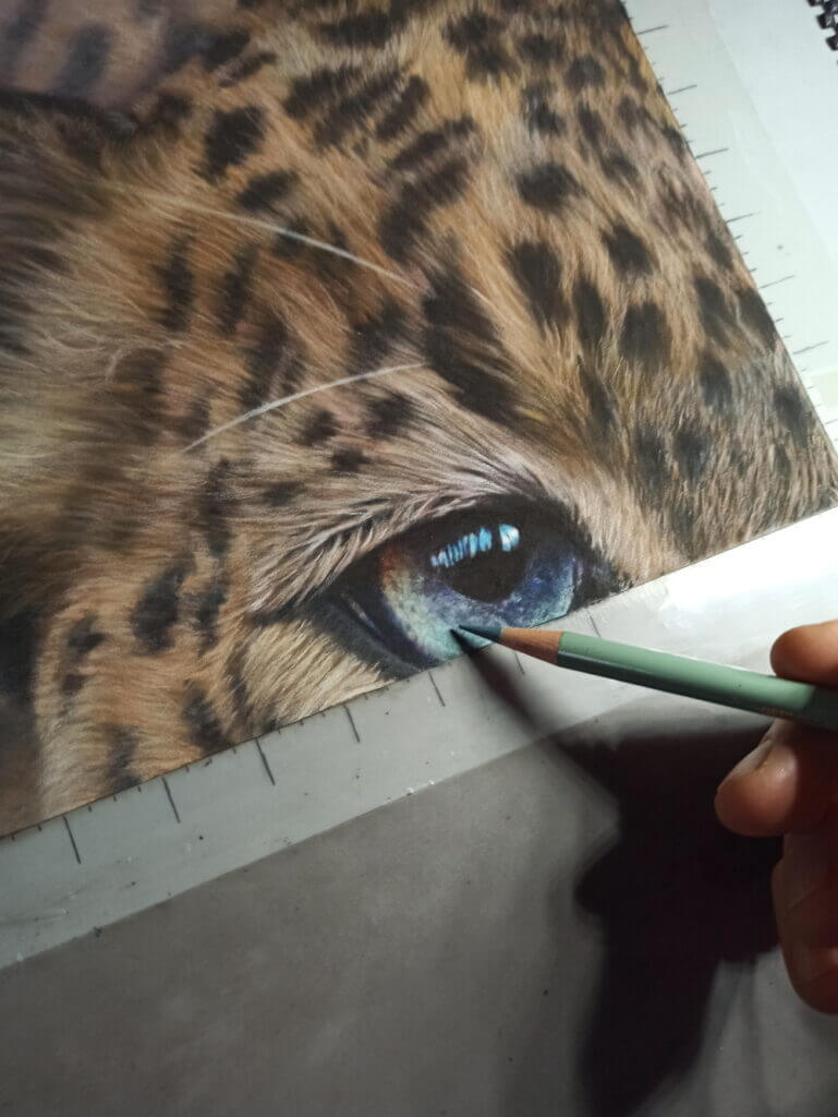 Sri Lankan Leopard WIP