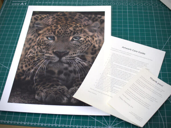 Sri Lankan Leopard print