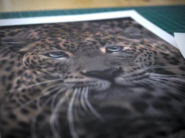 Sri Lankan Leopard print