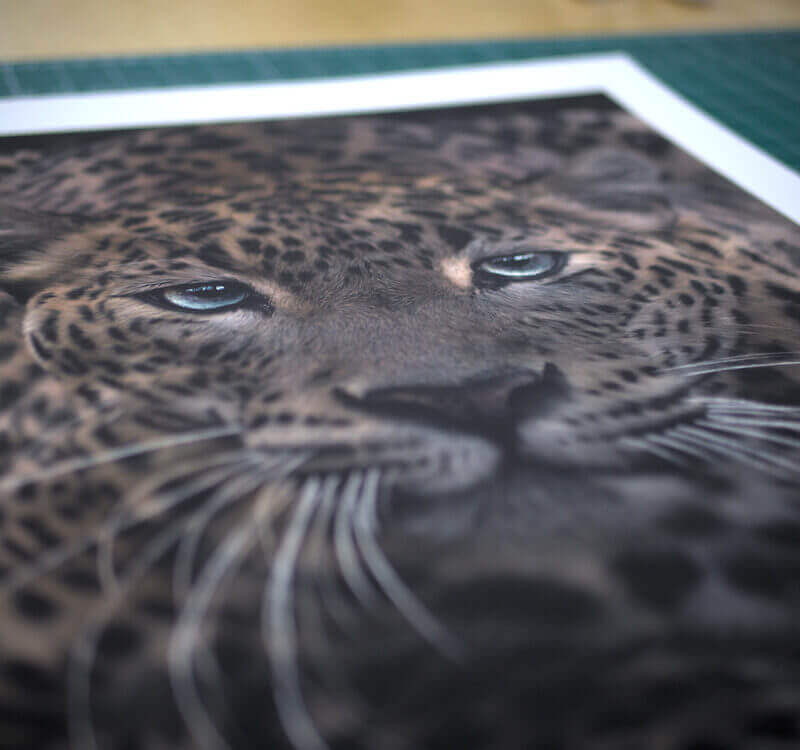 Sri Lankan Leopard print