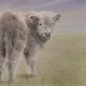 Pastel and colour pencil drawing of a Highland Cow