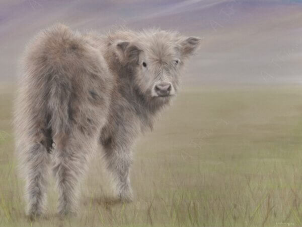 Pastel and colour pencil drawing of a Highland Cow