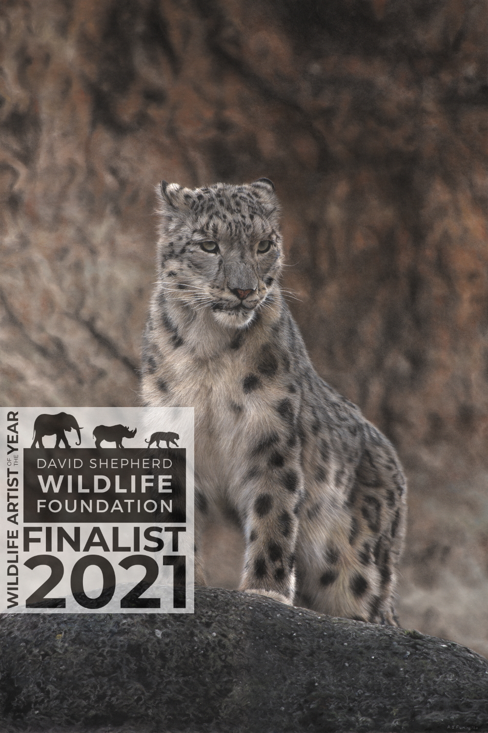 Snow Leopard Facts  David Shepherd Wildlife Foundation