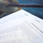 Green Sea Turtle papers