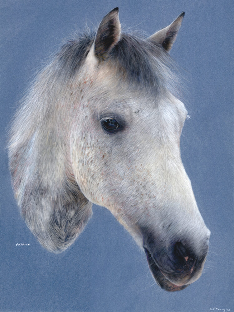 Patrick (horse)