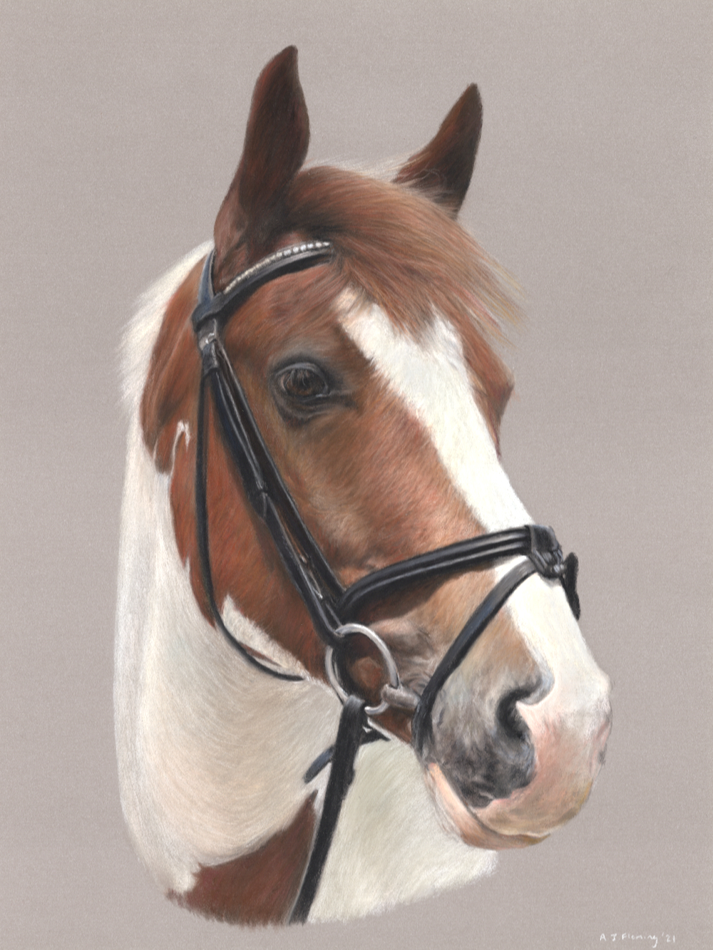 Pastel portrait of a horse