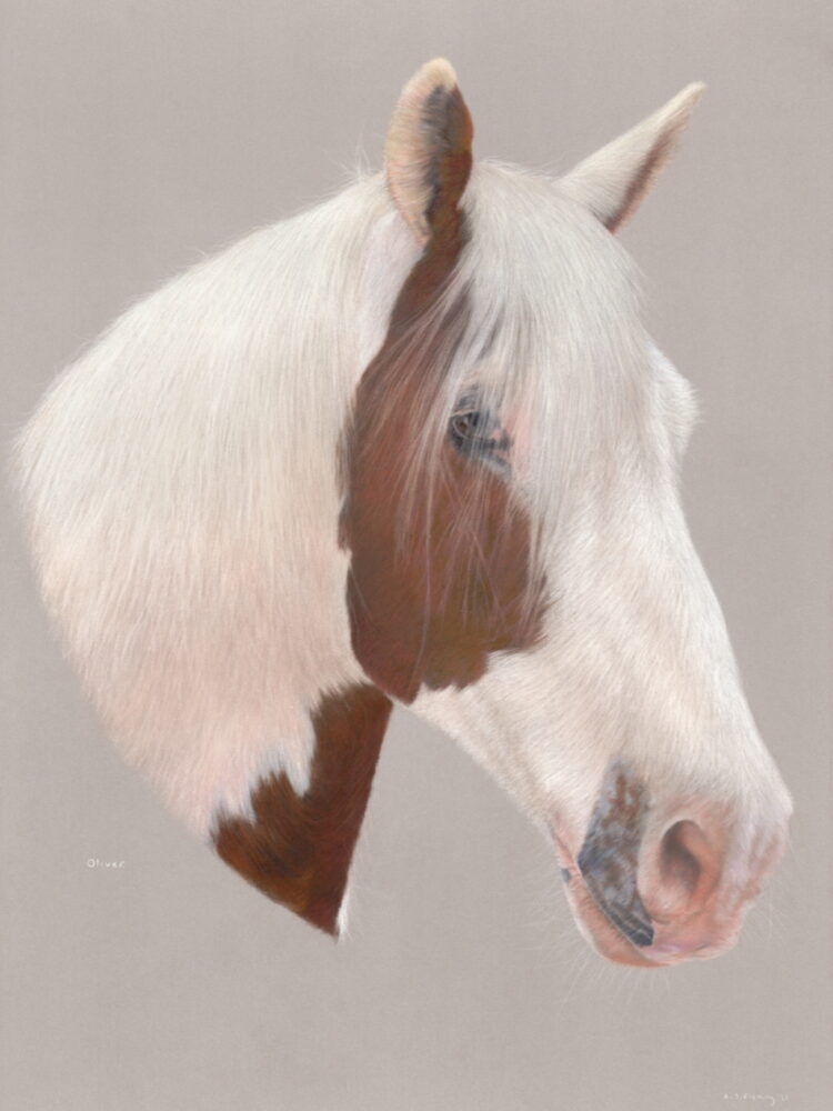 Pastel and colour pencil drawing of a horse