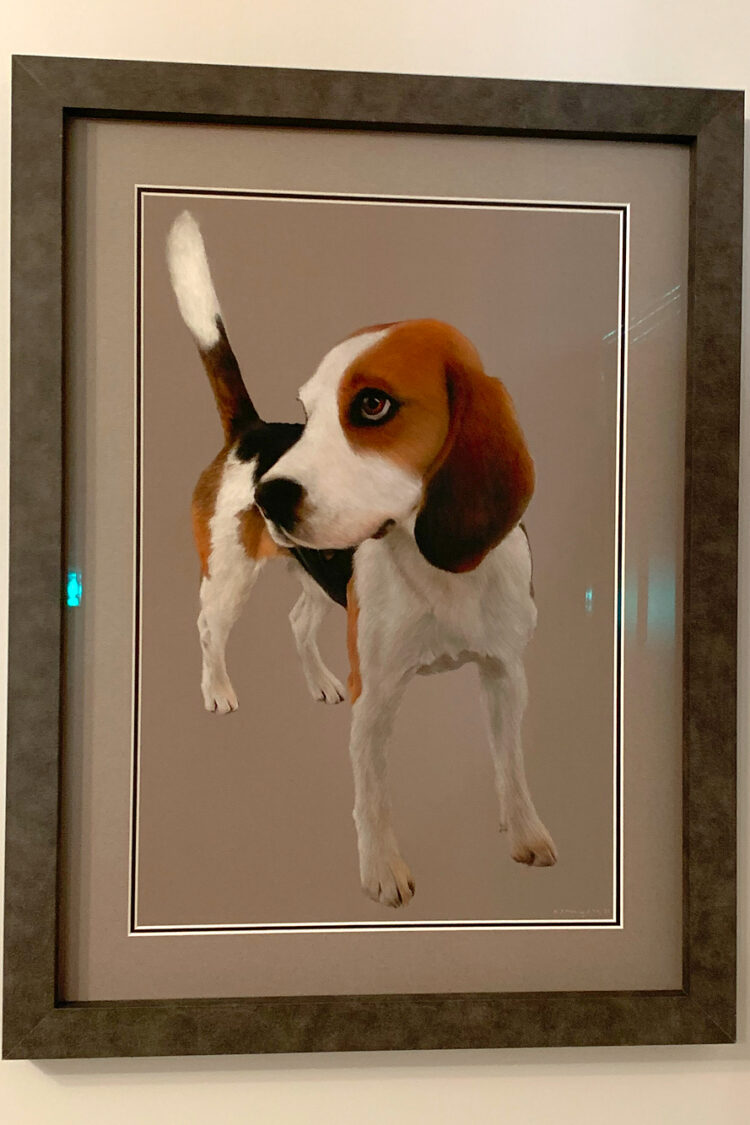 Louie