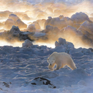 Pastel and colour pencil drawing of a polar bear in its home environment