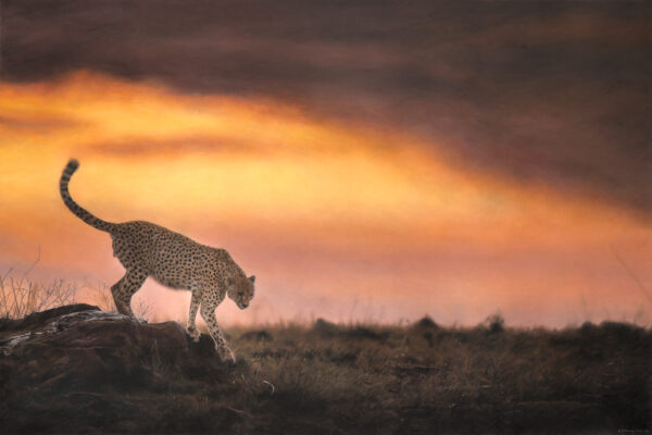 Pastel and colour pencil drawing of a cheetah