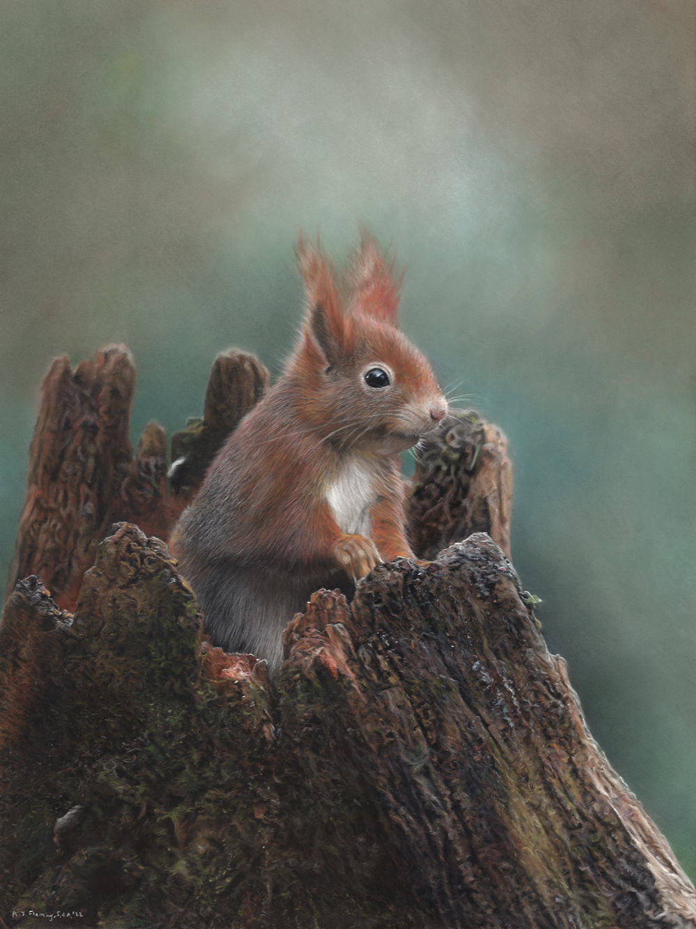 Pastel drawing of a Red Squirrel