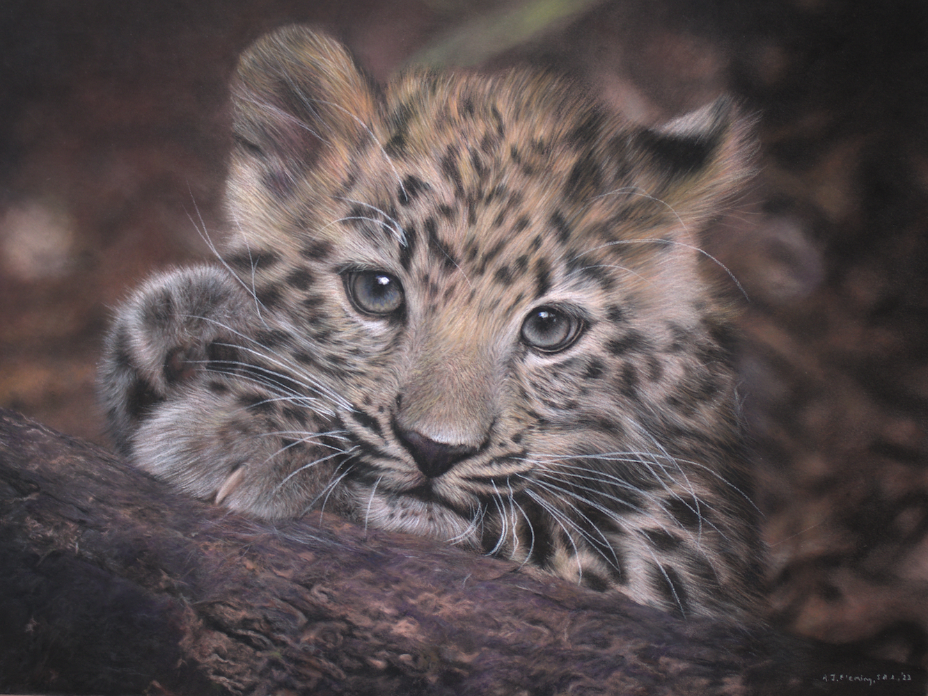 Pastel drawing of an Amur leopard cub
