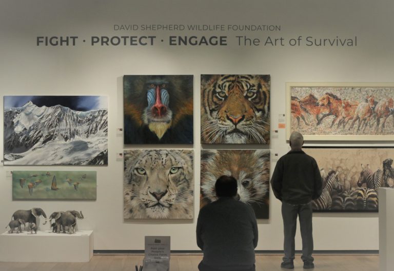 The David Shepherd Wildlife Artist of the Year final, held at the Mall Galleries. DSWF sell some of the best wildlife art from around the world.