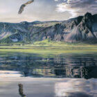 Pastel drawing of an eagle soaring over a lake with mountains in the background