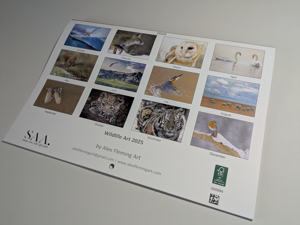 Wildlife Art 2025 Calendar Alex Fleming Art