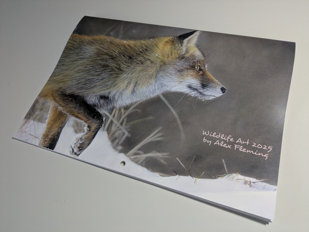 Wildlife Art 2025 Calendar Alex Fleming Art
